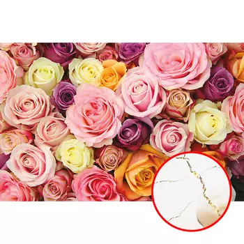 Фреска Ortograf