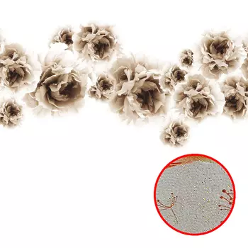 Фреска Ortograf