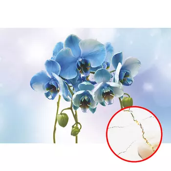 Фреска Ortograf