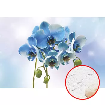 Фреска Ortograf