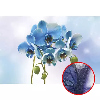 Фреска Ortograf