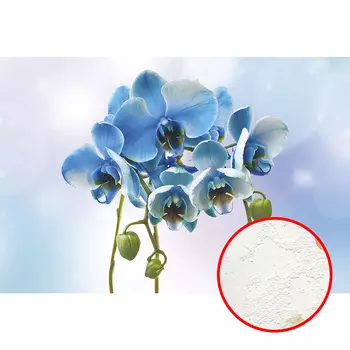 Фреска Ortograf