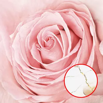 Фреска Ortograf