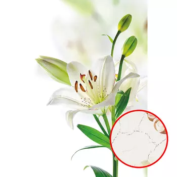 Фреска Ortograf