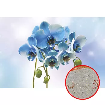 Фреска Ortograf