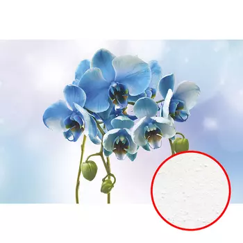 Фреска Ortograf