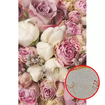 Фреска Ortograf