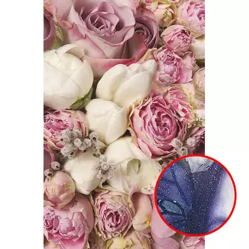 Фреска Ortograf