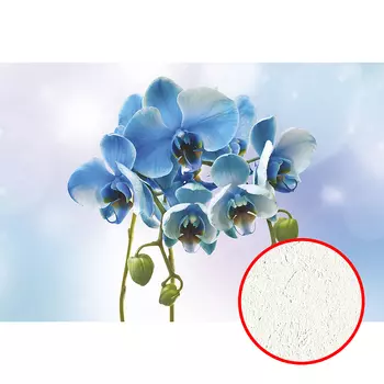 Фреска Ortograf