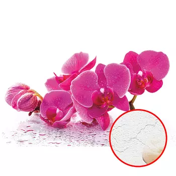 Фреска Ortograf