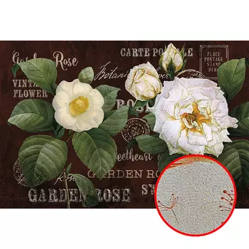 Фреска Ortograf