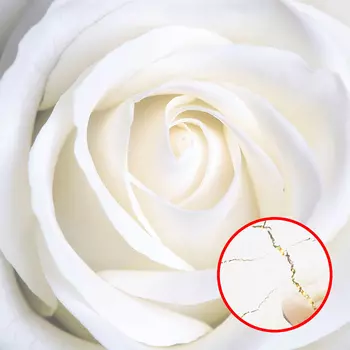 Фреска Ortograf