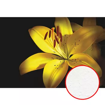 Фреска Ortograf