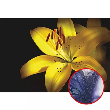 Фреска Ortograf