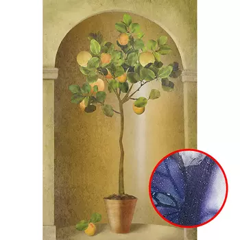 Фреска Ortograf