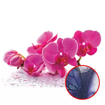 Фреска Ortograf