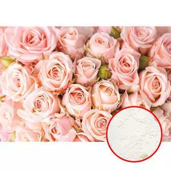 Фреска Ortograf