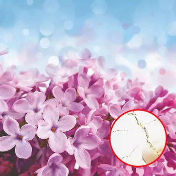 Фреска Ortograf