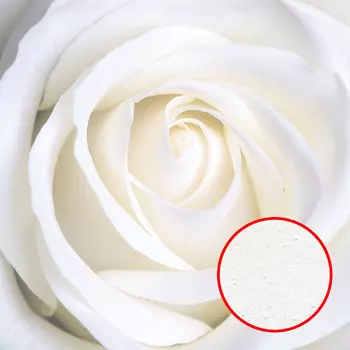 Фреска Ortograf