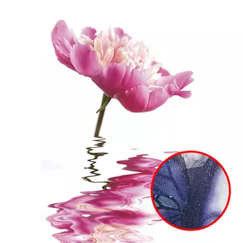 Фреска Ortograf