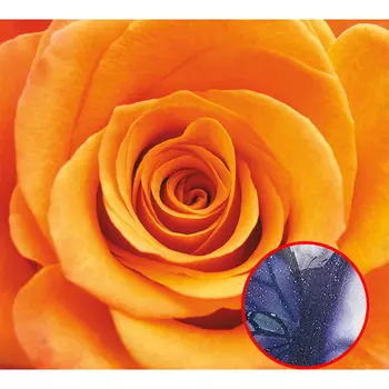 Фреска Ortograf