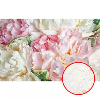 Фреска Ortograf