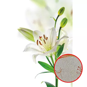 Фреска Ortograf