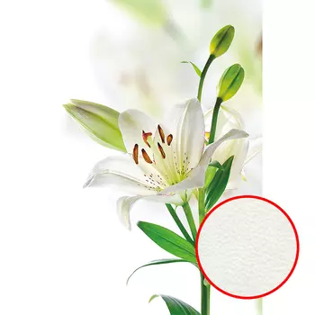 Фреска Ortograf