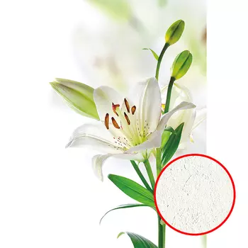 Фреска Ortograf