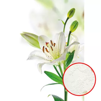 Фреска Ortograf