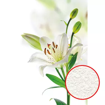 Фреска Ortograf