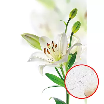 Фреска Ortograf