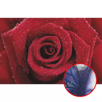 Фреска Ortograf