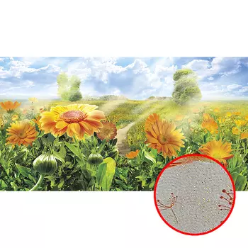 Фреска Ortograf