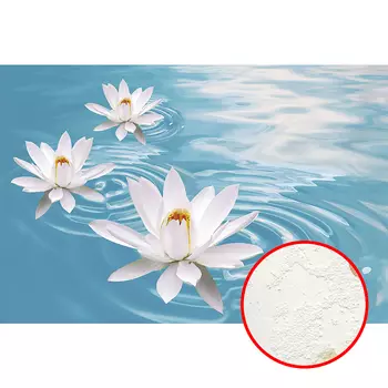 Фреска Ortograf