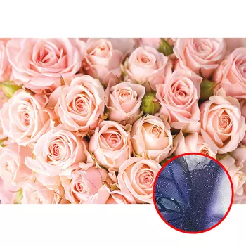 Фреска Ortograf