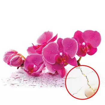 Фреска Ortograf