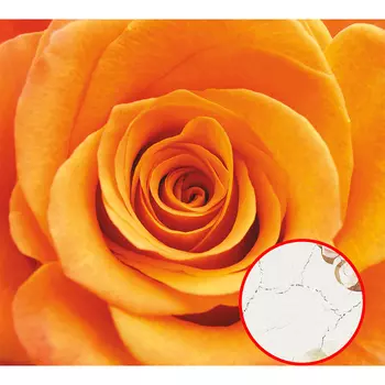 Фреска Ortograf