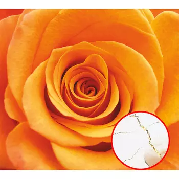 Фреска Ortograf