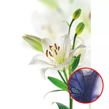 Фреска Ortograf