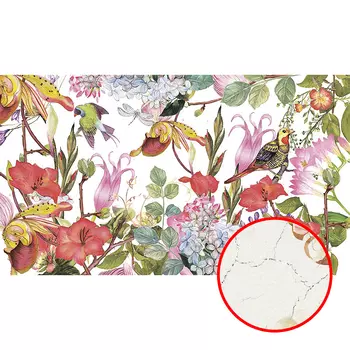 Фреска Ortograf