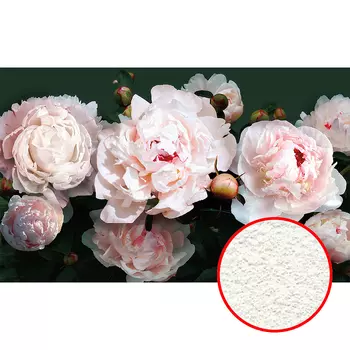 Фреска Ortograf