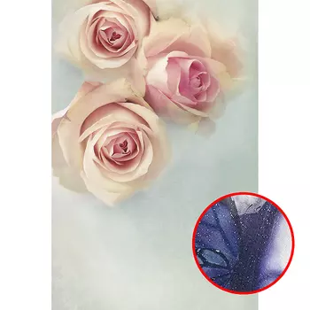 Фреска Ortograf