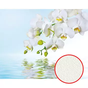 Фреска Ortograf