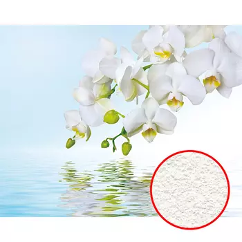 Фреска Ortograf