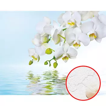 Фреска Ortograf