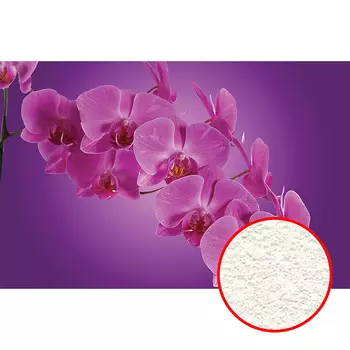 Фреска Ortograf