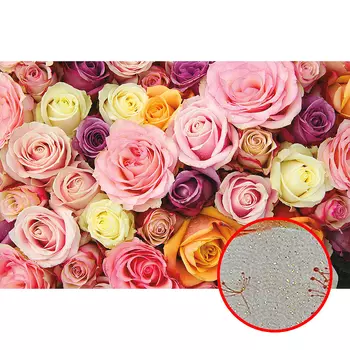 Фреска Ortograf