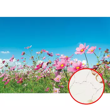 Фреска Ortograf