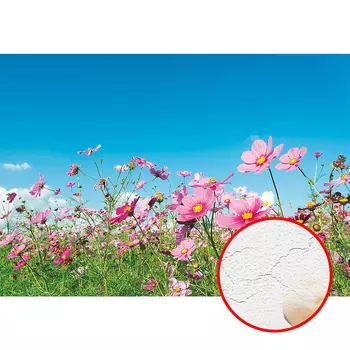 Фреска Ortograf